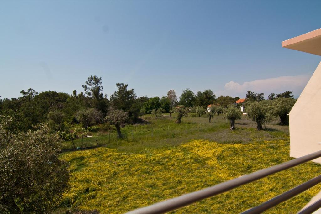 Studios Dimitraki Skala Rachoni  Værelse billede